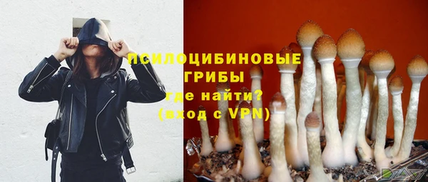 COCAINE Туринск