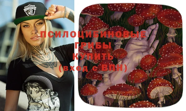 прущие грибы Усмань