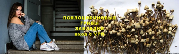 дурь Тутаев